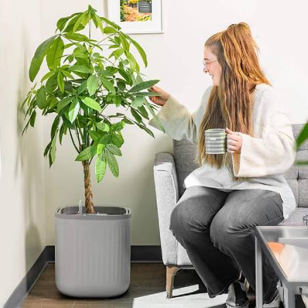 Vego Garden EZ Self-Watering Home Planter