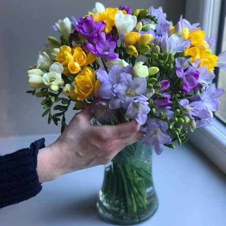 Clare Florist Freesia Fragrance